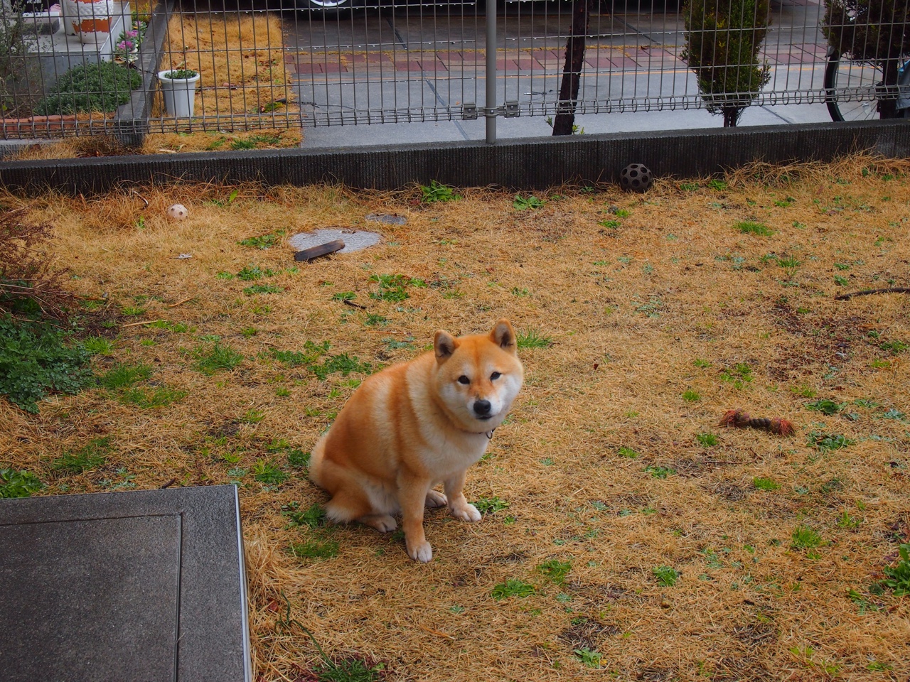 爱游戏中国官方网站平台-国家队足球训练基地进行全面升级，硬件设备大幅改善，国家足球训练基地招聘