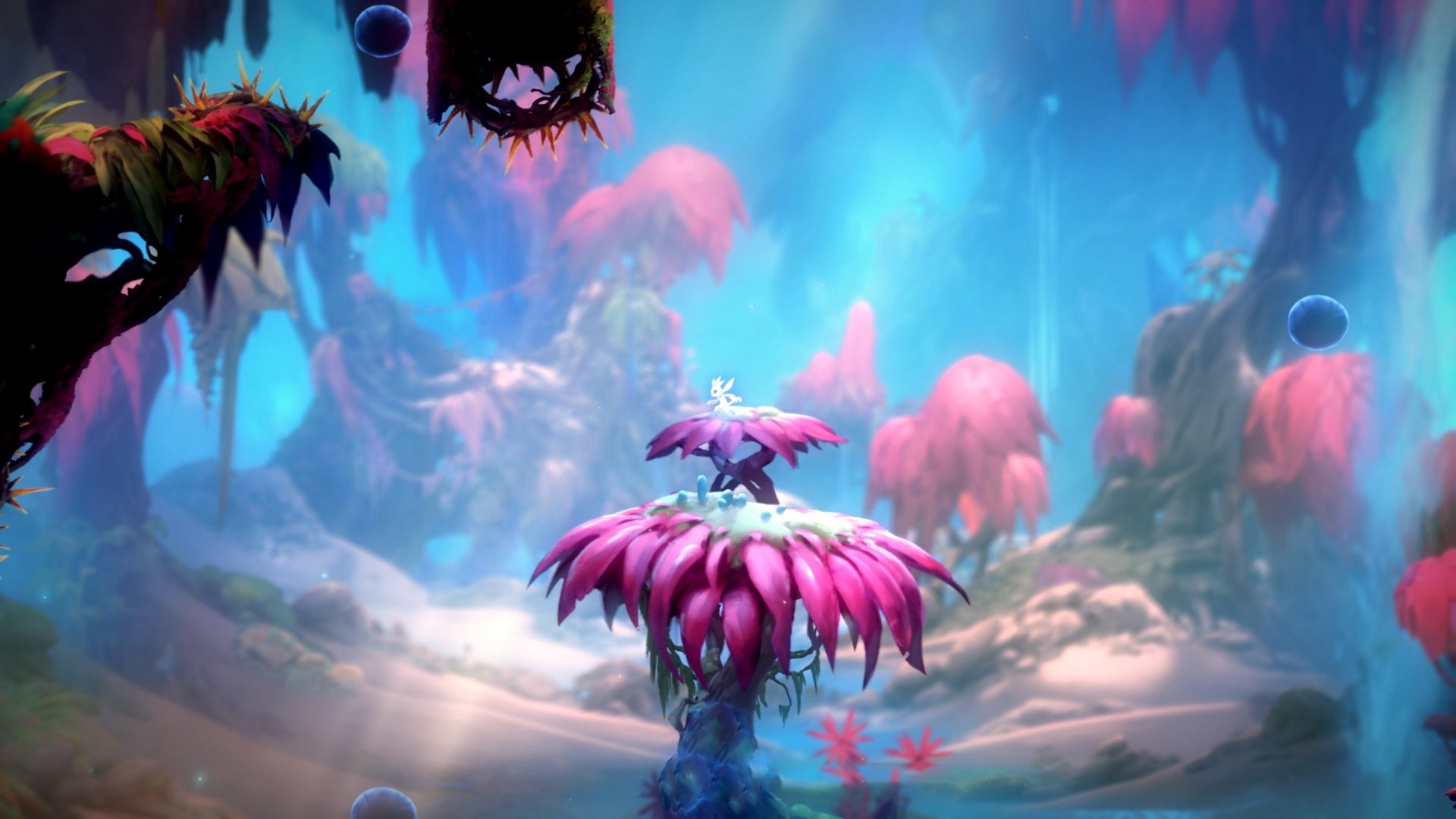 AYX GAME-极光探险跑：追随极光的运动盛宴，极光寻宝