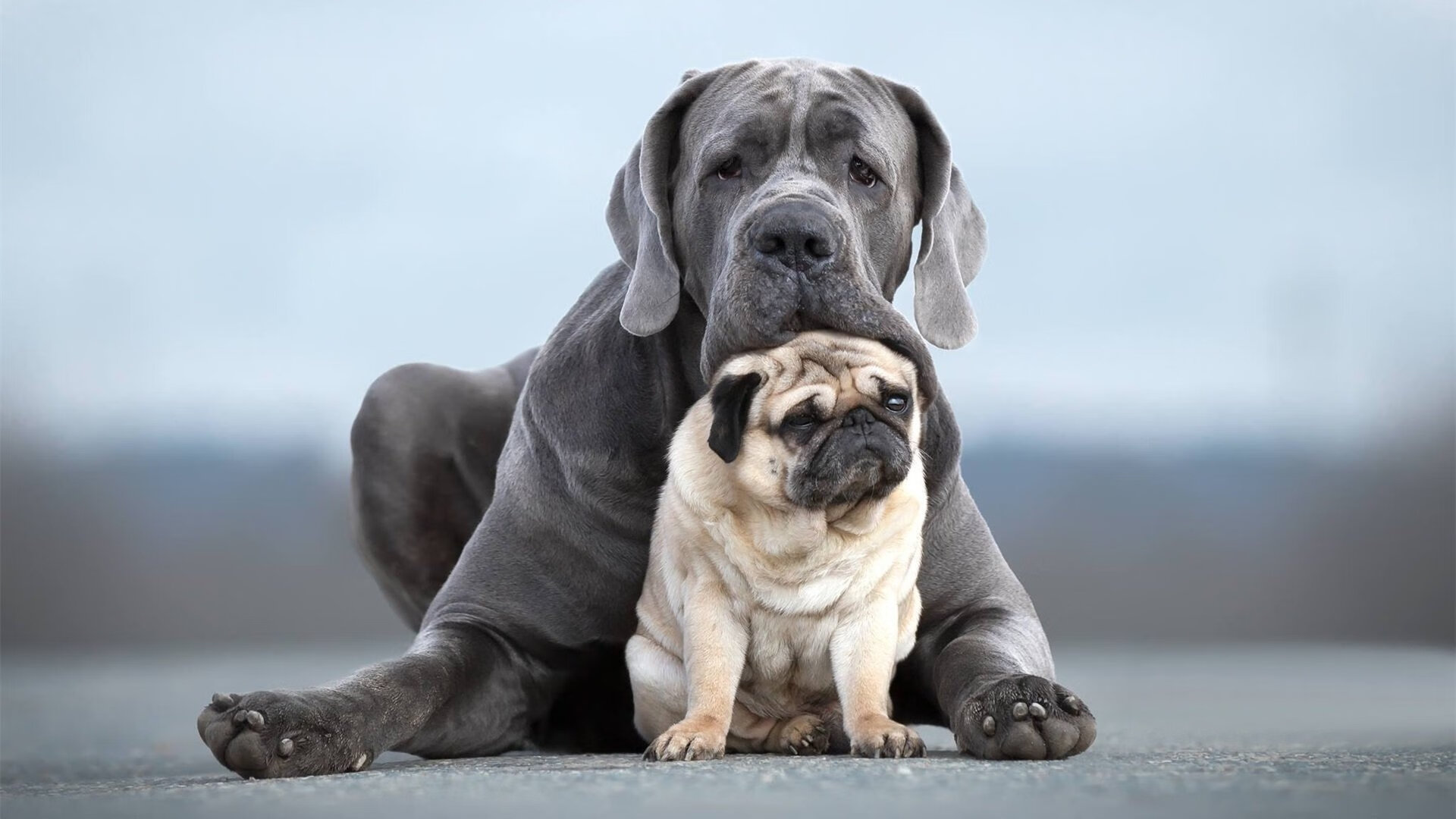 爱游戏娱乐-赛季结束在即，球队阵容调整成焦点，球队最新赛季
