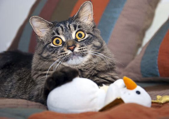 AYX官网-青少年“篮球梦想大集结”在昆明盛大开启，推动青训多元发展，昆明青少年篮球训练营