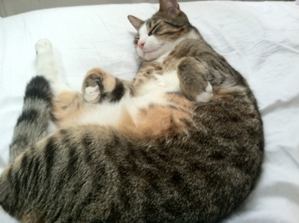 爱游戏官网-北京首钢防守端需加强配合，首钢前三节仅获7次罚篮 内线杀伤不足侵略性欠佳