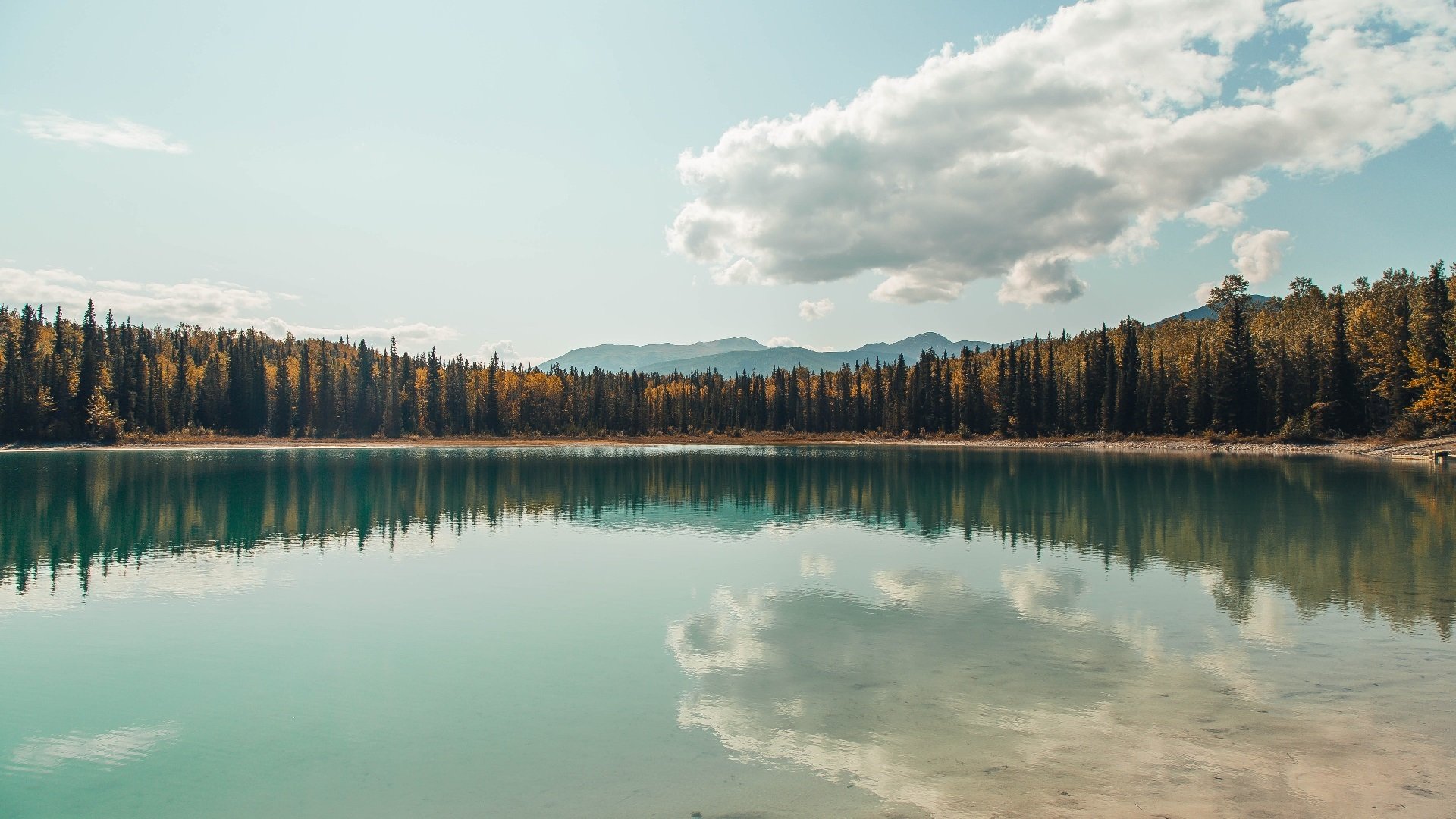 爱游戏app-南美篮球联赛进行到淘汰赛阶段，谁能笑到最后？，南美篮球队