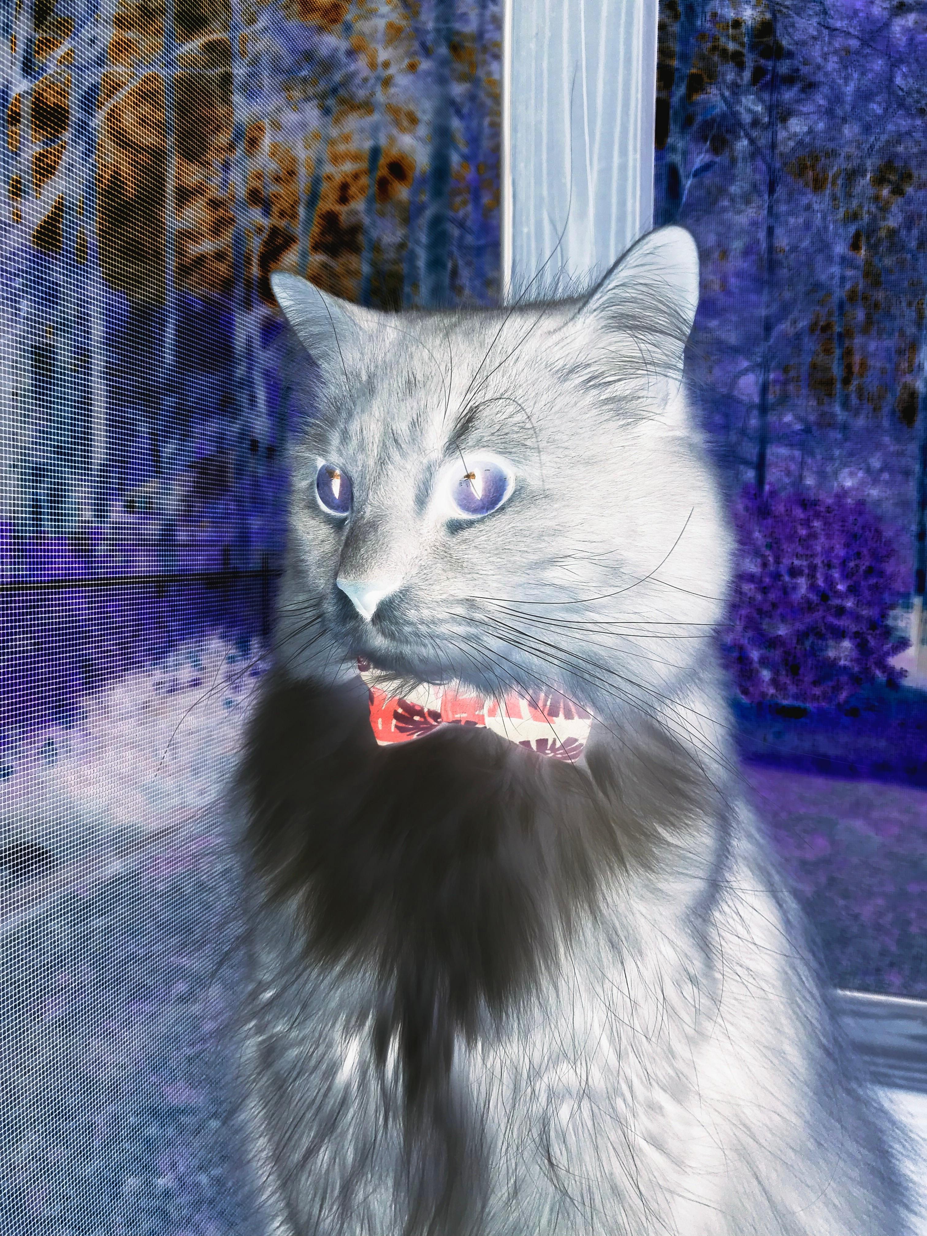 AYX体育官网-多特蒙德力争击败杜塞尔多夫德比，多特蒙德到杜塞尔多夫的距离