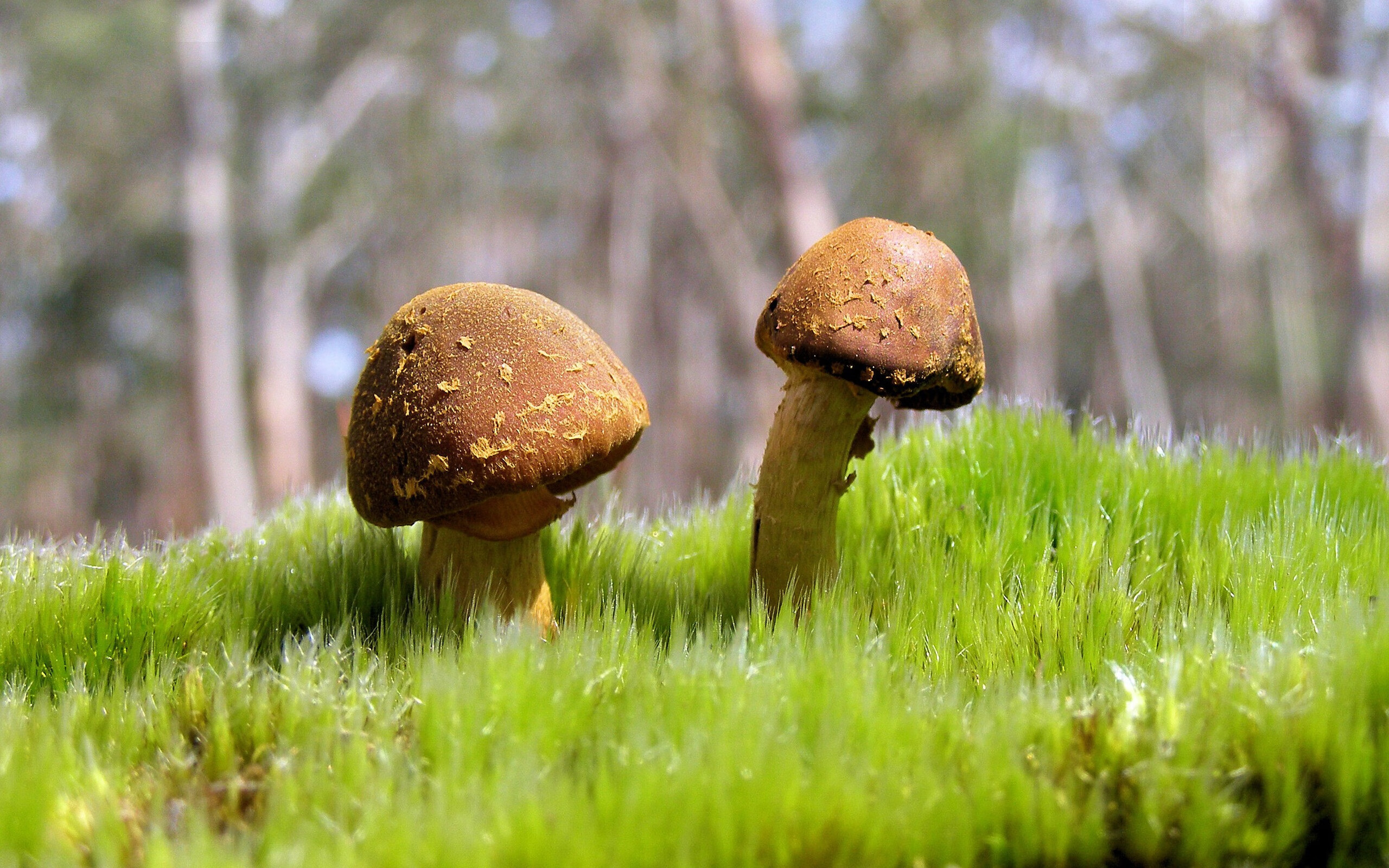 爱游戏体育app-青少年体育运动健康管理，青少年体育健康包