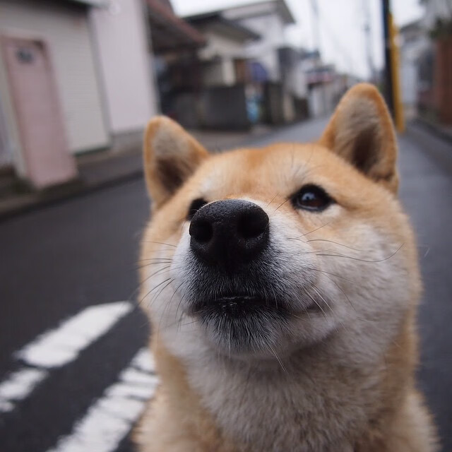 爱游戏登录入口-“壁球世界顶尖选手齐聚，挑战高新区全民健身馆赛场极限反应！”