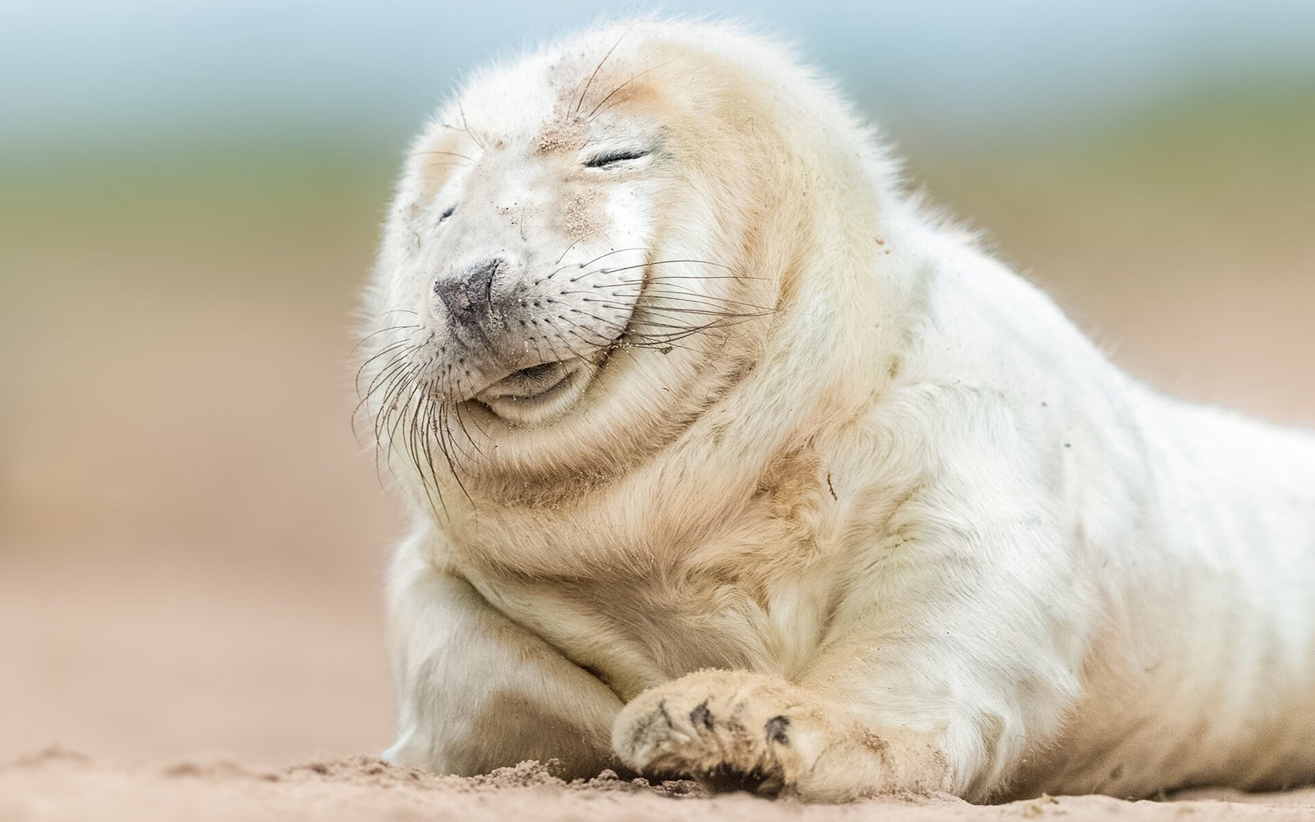 爱游戏体育平台-中国三人篮球女队提高协同进攻精准性，中国三人篮球女子队