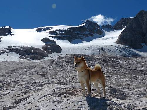 爱游戏app下载-俱乐部青训机制不完善，青训俱乐部培训协议
