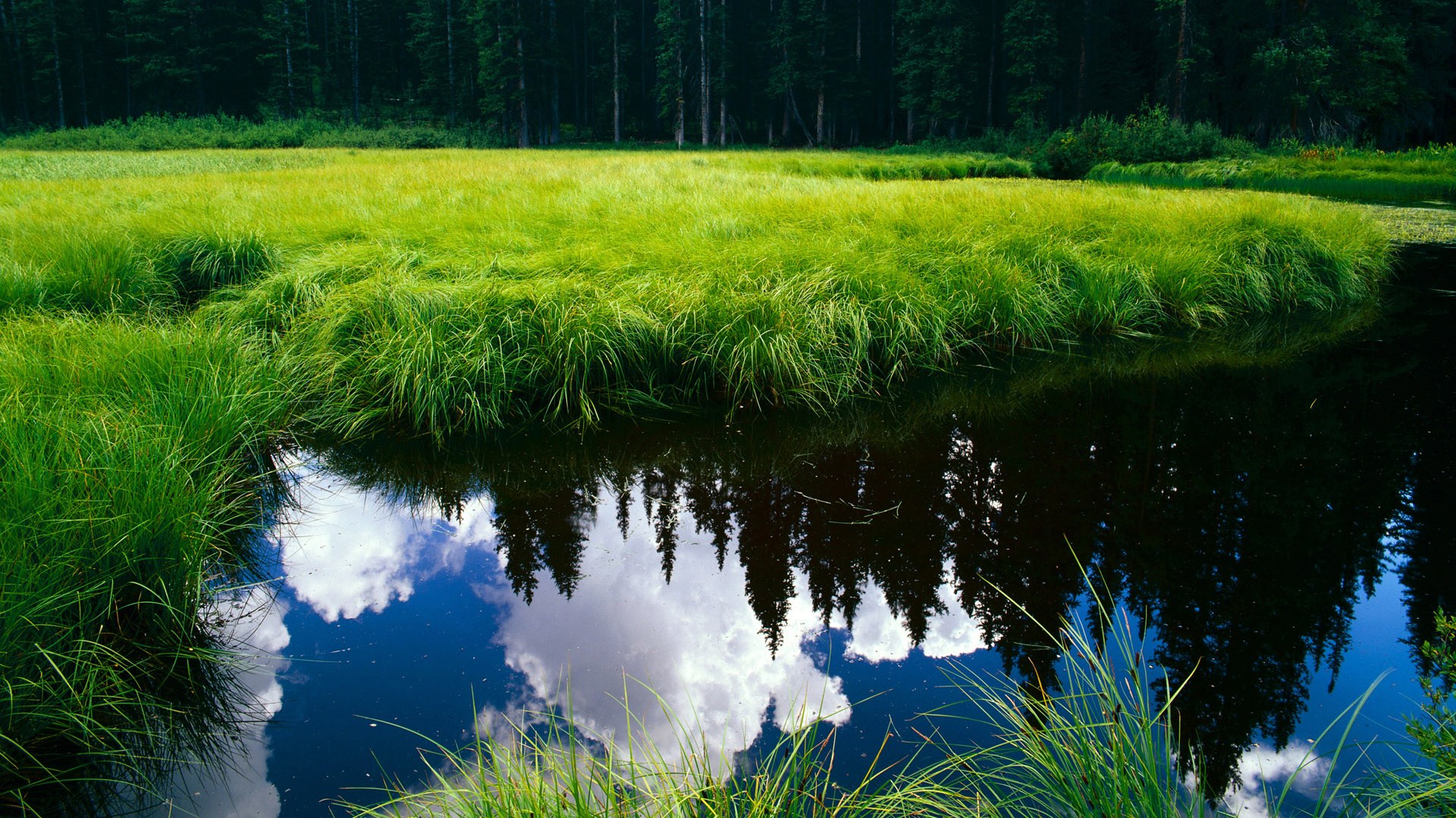 -球队内部气氛紧张，竞争激烈，球队的问题