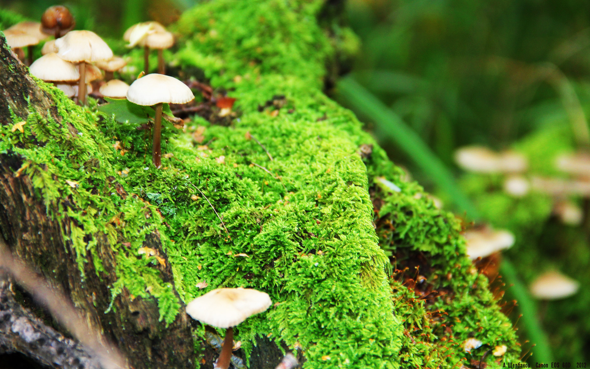 爱游戏体育官方网站-梅西助球队拿下关键战世界杯小组赛，梅西参加2021世界杯