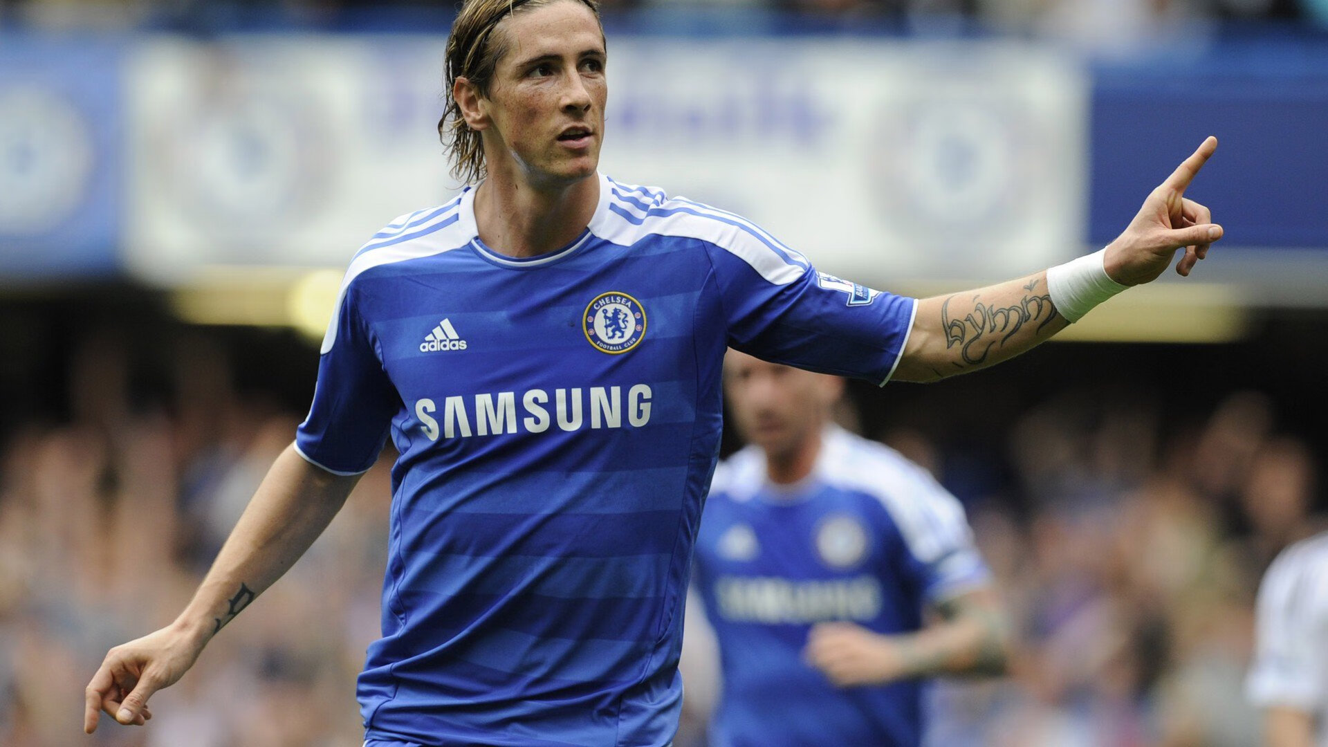 长青树：那些28+年球龄的传奇巨星，长青树的寿命